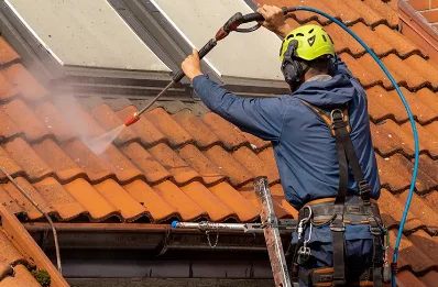 Démoussage et hydrofuge de toiture à Séglien